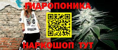 a pvp Будённовск