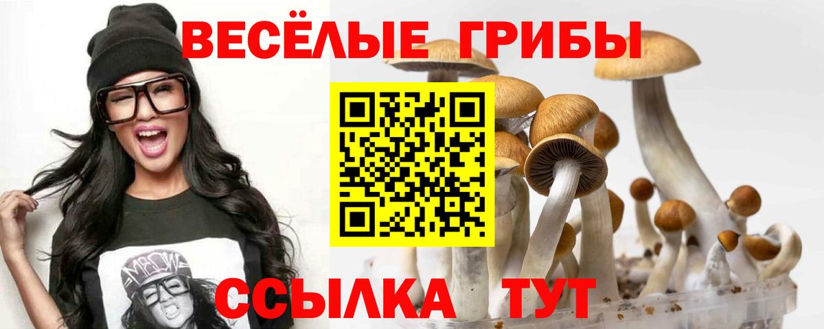 даркнет сайт  Псилоцибиновые грибы ЛСД  Вход с VPN  Учалы 